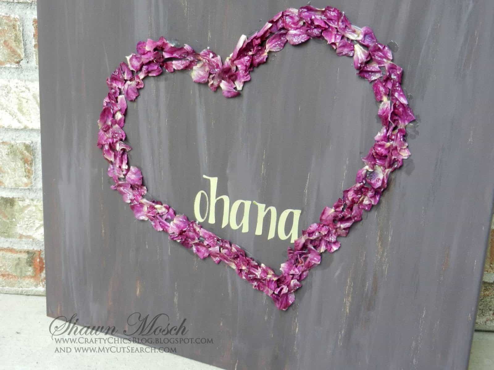 cricut canvas